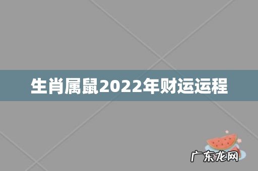 生肖属鼠2022年财运运程
