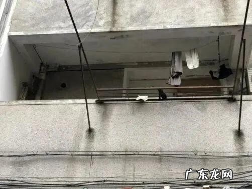 法子英执行现场图片 法子英把人关铁笼