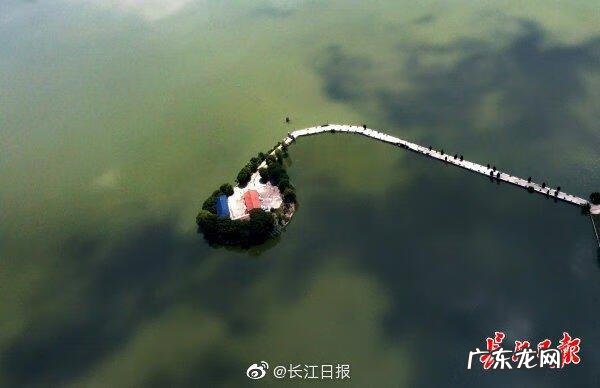 碧水蓝天 碧水蓝天怎么样