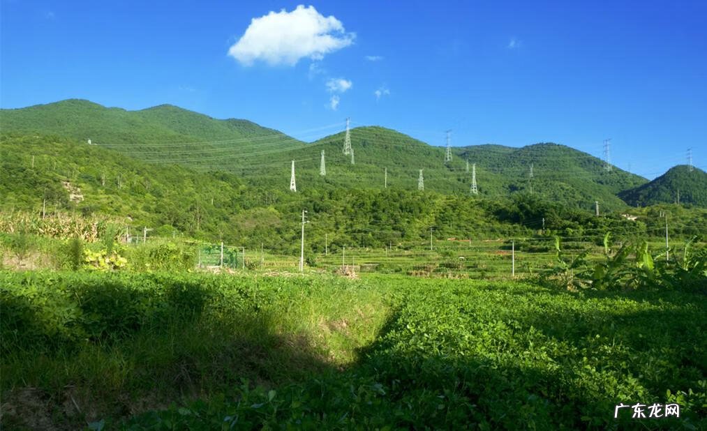 风水中的长生水是什么意思 风水长生水是什么