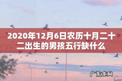 2020年12月6日农历十月二十二出生的男孩五行缺什么