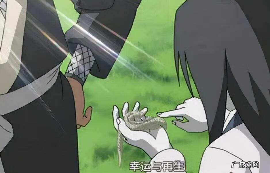 宇智波鼬vs大蛇丸视频 大蛇丸VS鼬