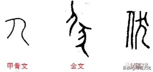 啄的拼音 伏的拼音怎么读