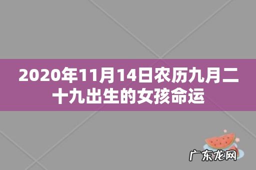 2020年11月14日农历九月二十九出生的女孩命运