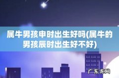 属牛的男孩辰时出生好不好 属牛男孩申时出生好吗