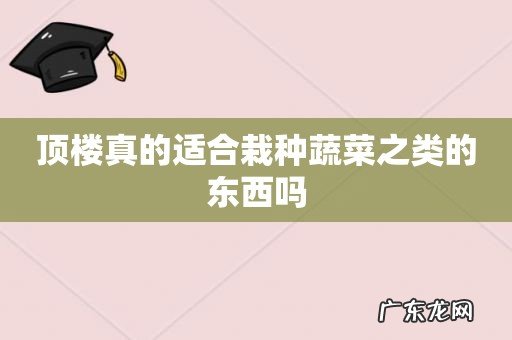 顶楼真的适合栽种蔬菜之类的东西吗