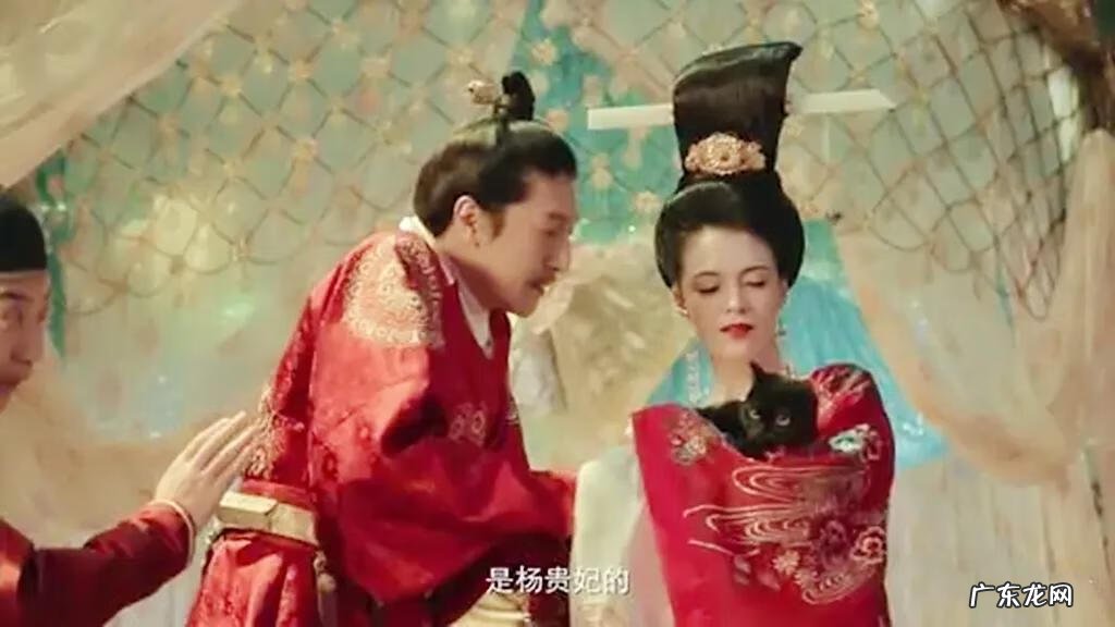 风水上对自来猫的说法 猫在风水上代表什么