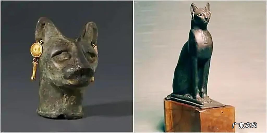 风水上对自来猫的说法 猫在风水上代表什么