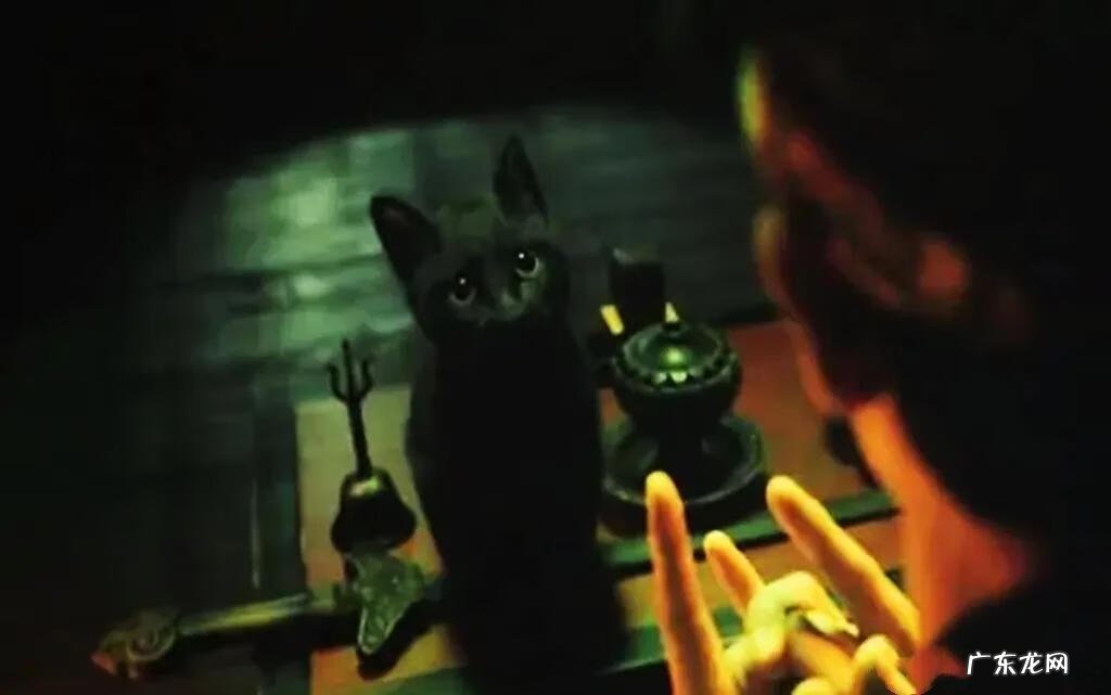 风水上对自来猫的说法 猫在风水上代表什么