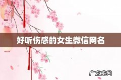 好听伤感的女生微信网名