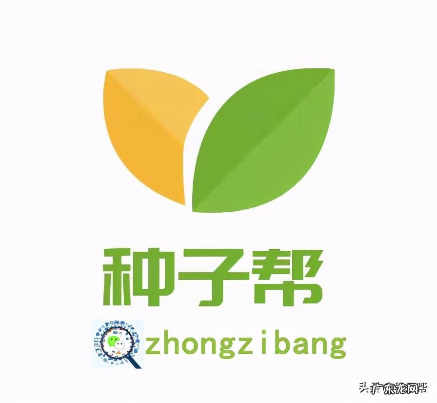 天人菊的唯美句子 天人菊