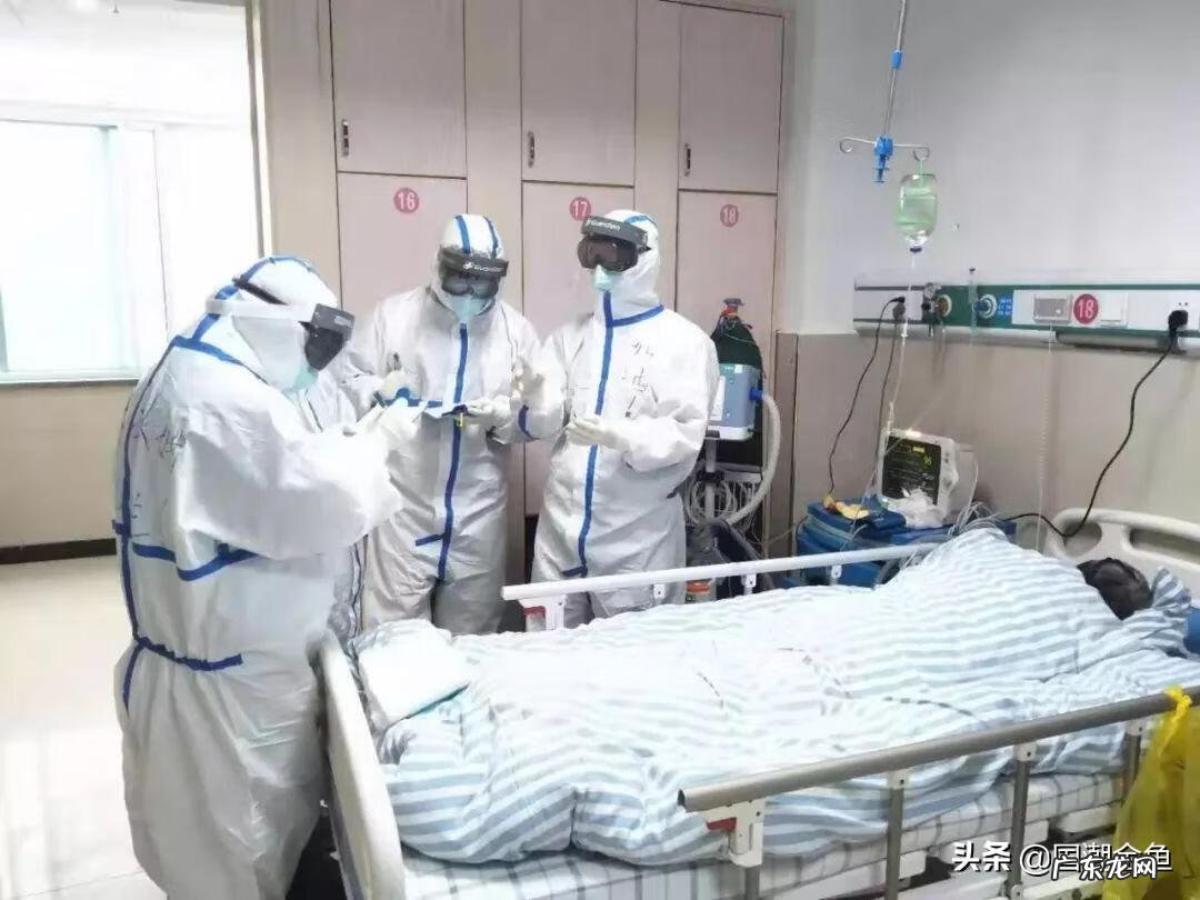 养一只鱼的风水 养鱼十大风水鱼名字