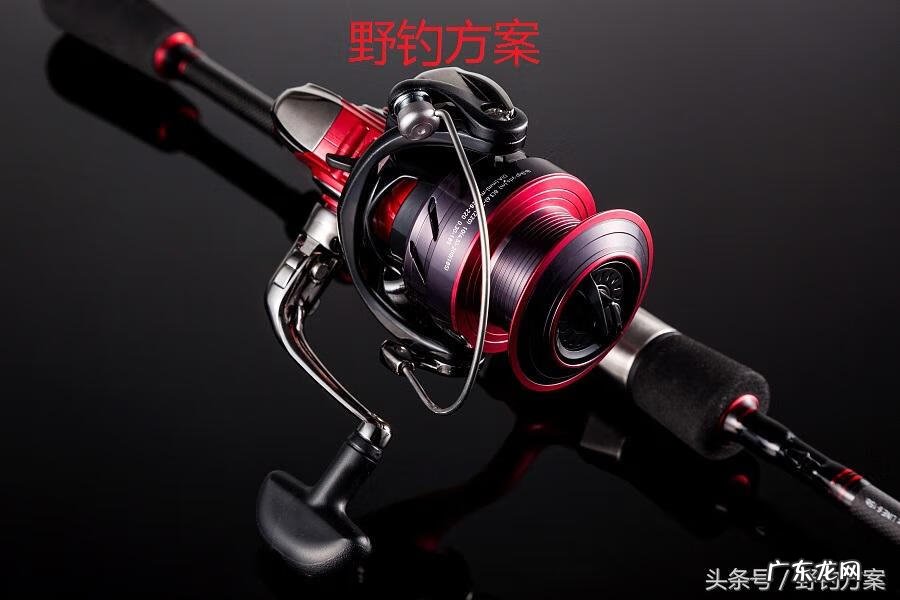 水滴轮怎么绑饵 水滴轮用什么饵料