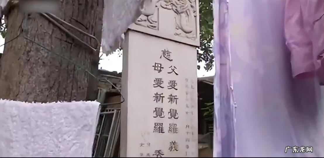 陈全林与禅师 风水与健康陈全林