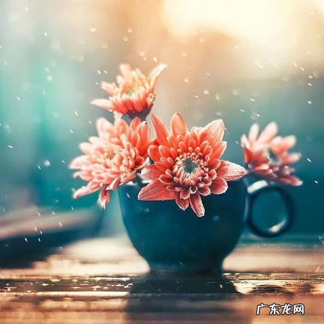 形容对老婆好的风水知识的成语