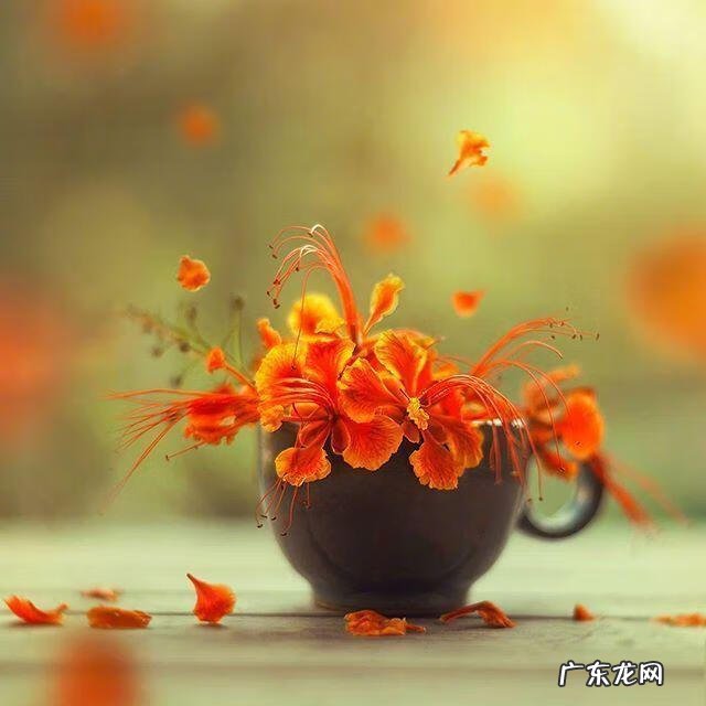 形容对老婆好的风水知识的成语