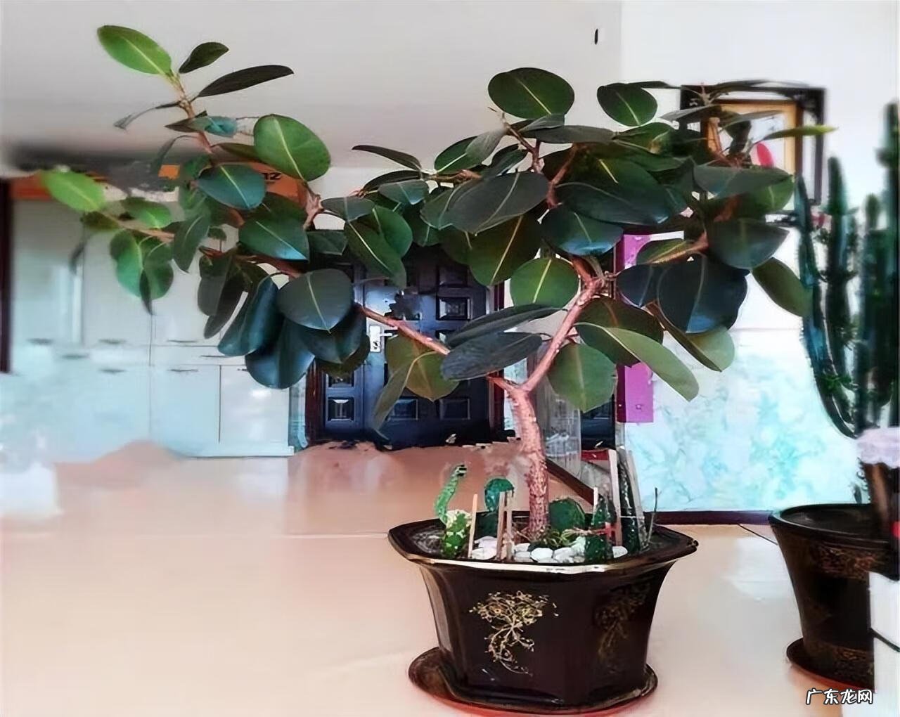 大扇子挂哪里最旺风水