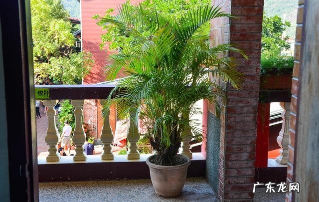 大扇子挂哪里最旺风水