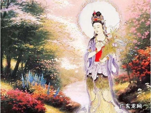 小区很多蛇风水好不好 毒蛇多的地方风水好吗吗