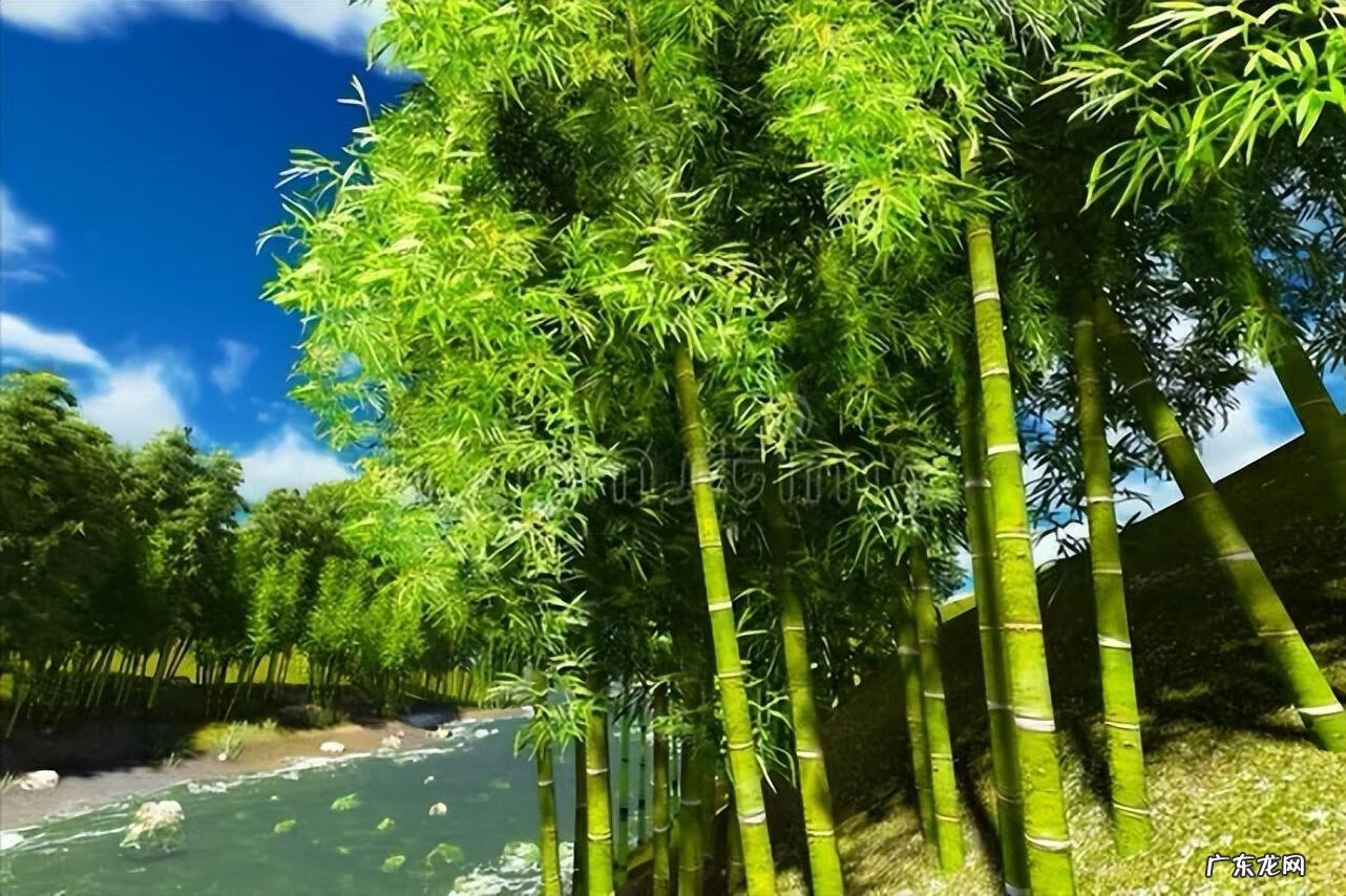 床脚为什么不能对着门 床无脚在风水上的说法