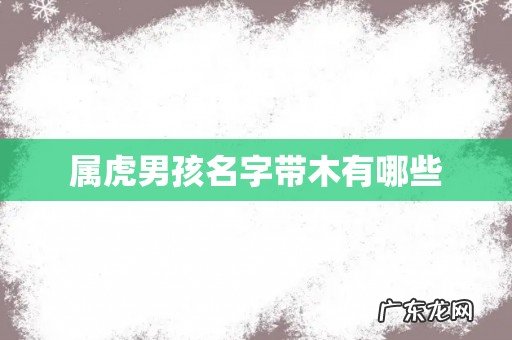 属虎男孩名字带木有哪些