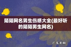 最好听的陌陌男生网名 陌陌网名男生伤感大全
