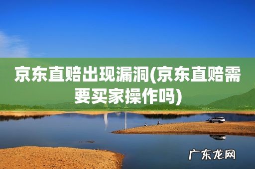 京东直赔需要买家操作吗 京东直赔出现漏洞