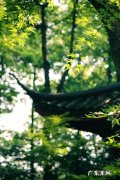 人生最大的风水是什么 百度一下人生风水