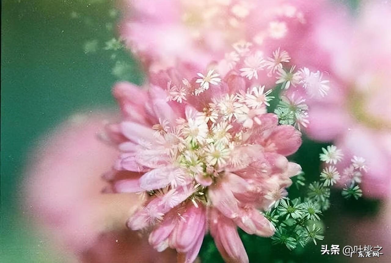 累了应该怎么办 感觉太累了怎么办