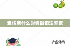 受伤后什么时候做司法鉴定