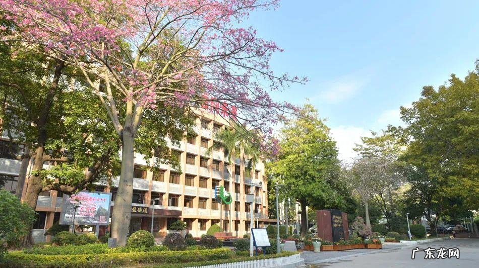 广东2012年高考分数线 2012年广东高考分数录取线