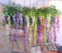 塑料花风水有什么忌讳 塑料植物风水不好怎么办