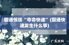 圆通快递发生什么事 圆通惊现“夺命快递”