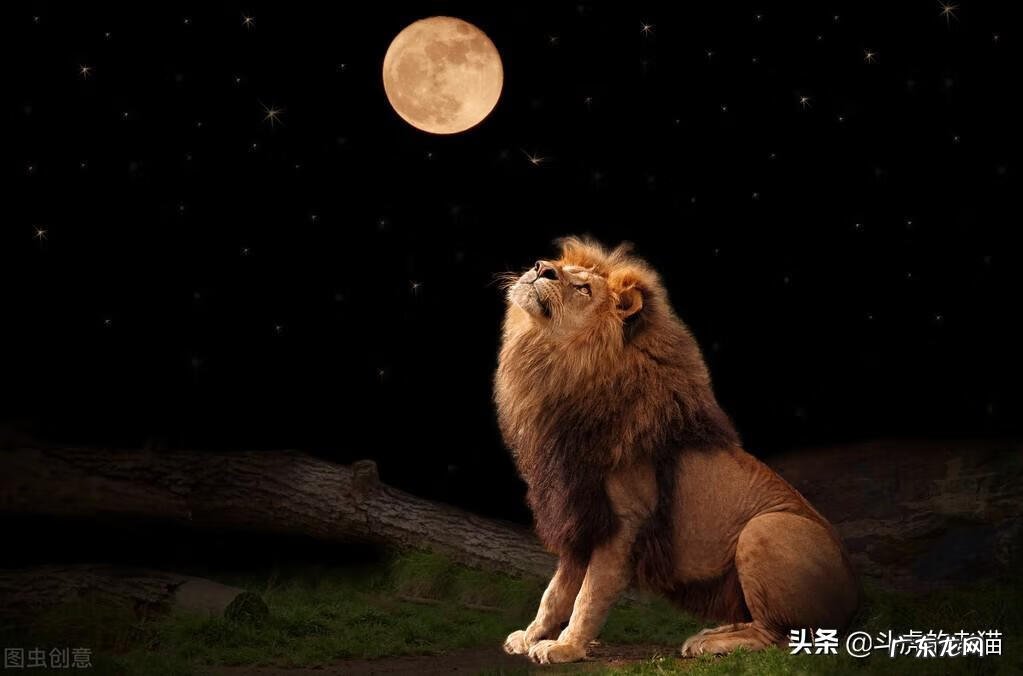 阳宅风水好能出人才吗 狮子地风水能出什么人才