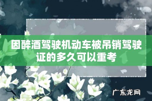 因醉酒驾驶机动车被吊销驾驶证的多久可以重考