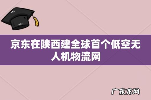 京东在陕西建全球首个低空无人机物流网