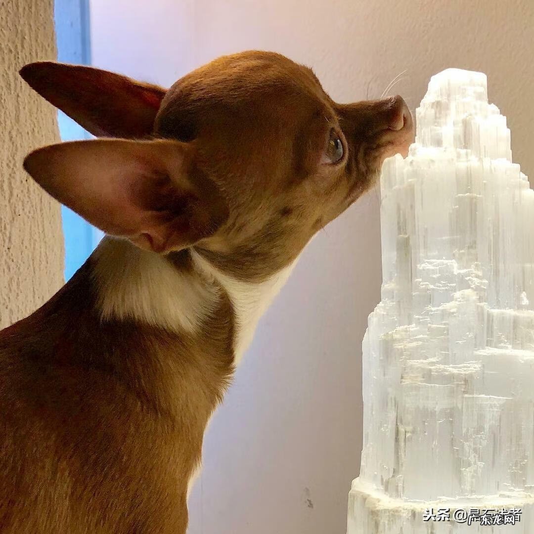 地理风水一盏灯 风水一盏灯