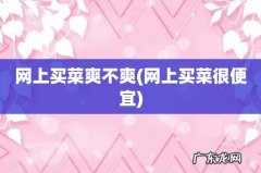 网上买菜很便宜 网上买菜爽不爽