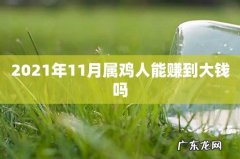 2021年11月属鸡人能赚到大钱吗
