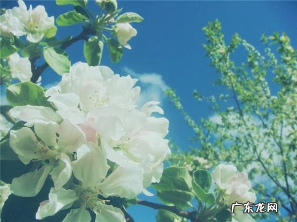 情感文摘精选 经典情感文字