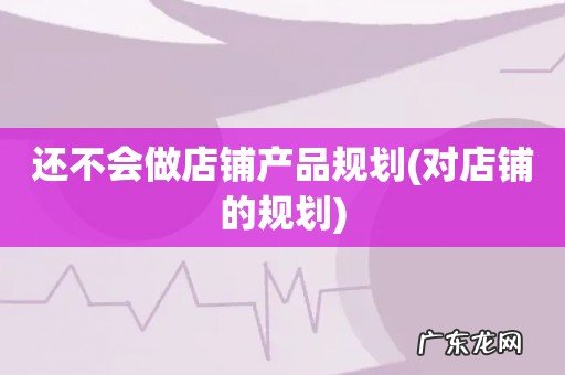 对店铺的规划 还不会做店铺产品规划