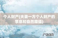 夫妻一方个人财产的孳息和自然增值 个人财产