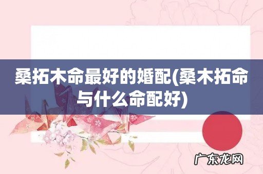 桑木拓命与什么命配好 桑拓木命最好的婚配