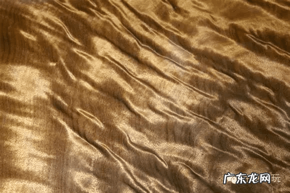 金丝楠木树是风水树不 金丝楠木是风水树吗