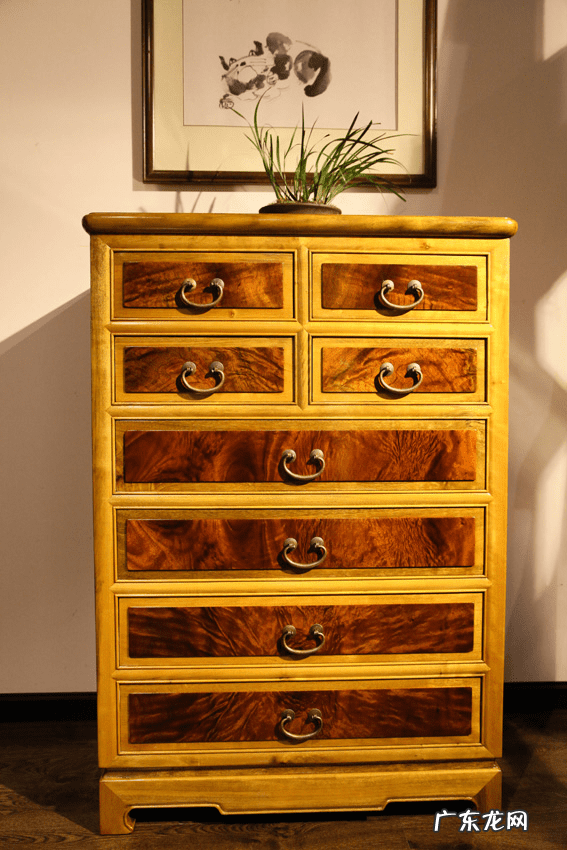 金丝楠木树是风水树不 金丝楠木是风水树吗