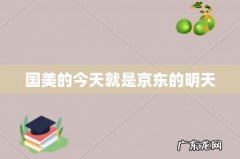 国美的今天就是京东的明天