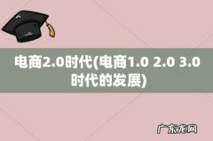 电商1.0 2.0 3.0 时代的发展 电商2.0时代