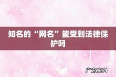 知名的“网名”能受到法律保护吗