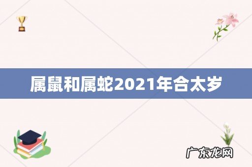 属鼠和属蛇2021年合太岁