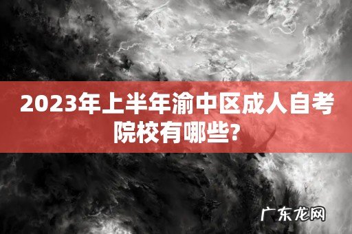 2023年上半年渝中区成人自考院校有哪些?
